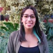 Clases de matemáticas para enseñanza básica y media